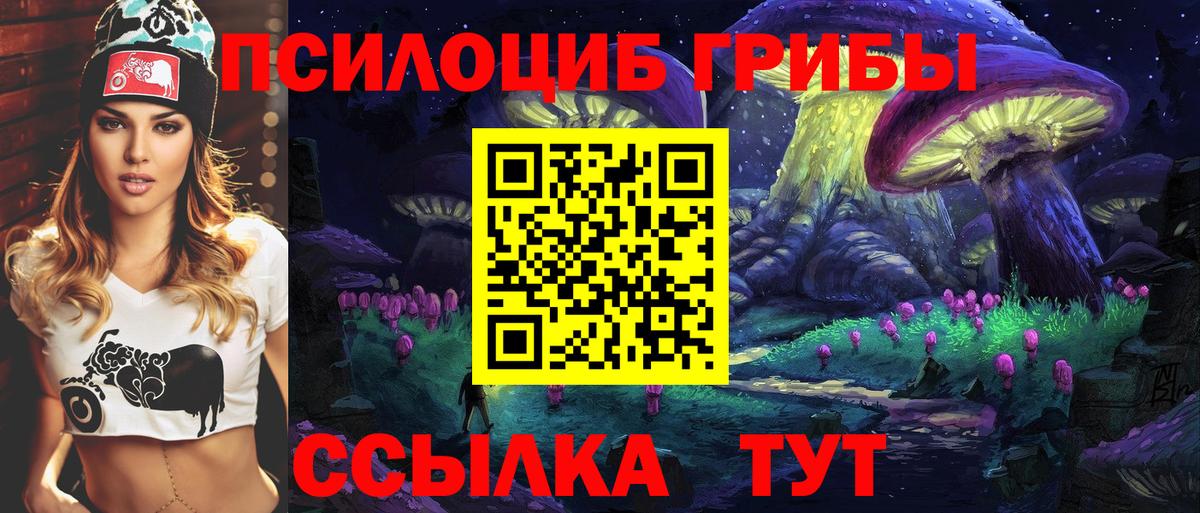 Псилоцибиновые грибы GOLDEN TEACHER  Вход с VPN  сколько стоит  Новоалтайск  Галлюциногенные грибы Psilocybe 